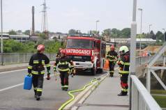 Mini IMG 1158